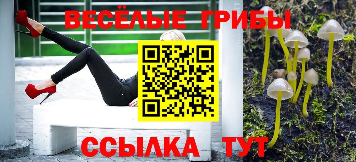 Галлюциногенные грибы Cubensis Туапсе