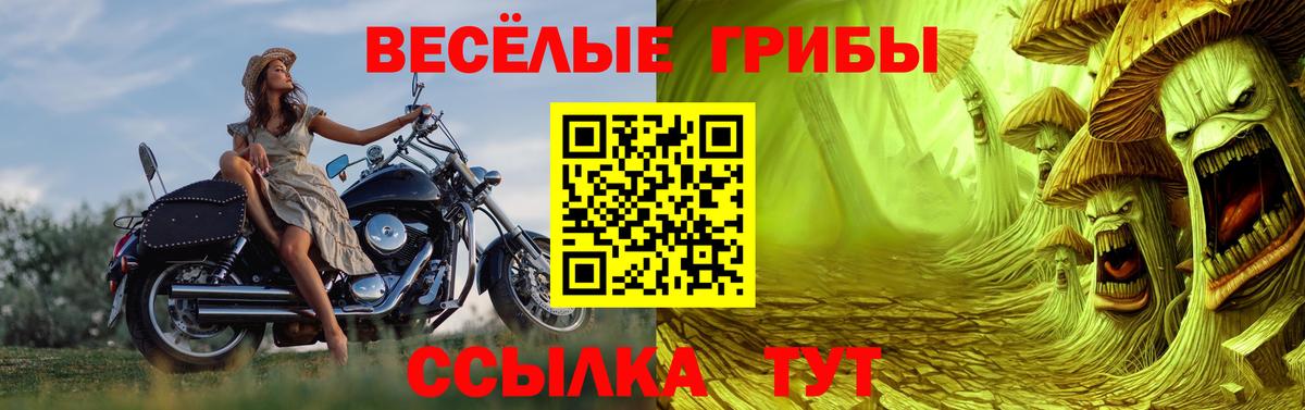 Туапсе  Псилоцибиновые грибы прущие грибы  Вход с VPN 